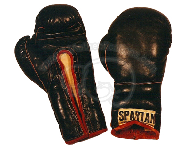 Training Gloves