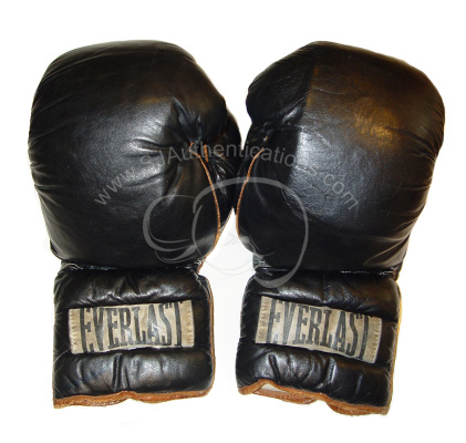 Everlast Training Gloves